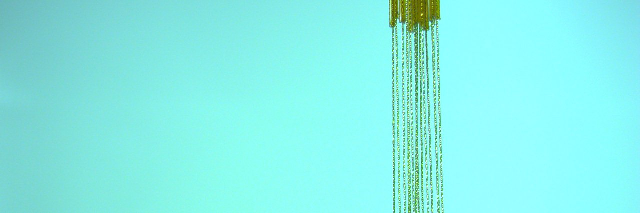Laura Colgin's banner