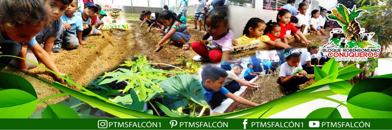 🇻🇪🌽🌱PTMS FALCÓN 🌱🌽🇻🇪 banner