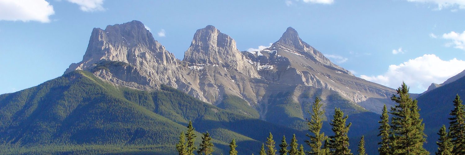 TheWoodingGroup's profile banner image