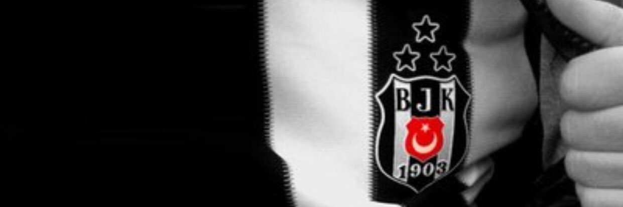 fzthasangercek's profile banner image