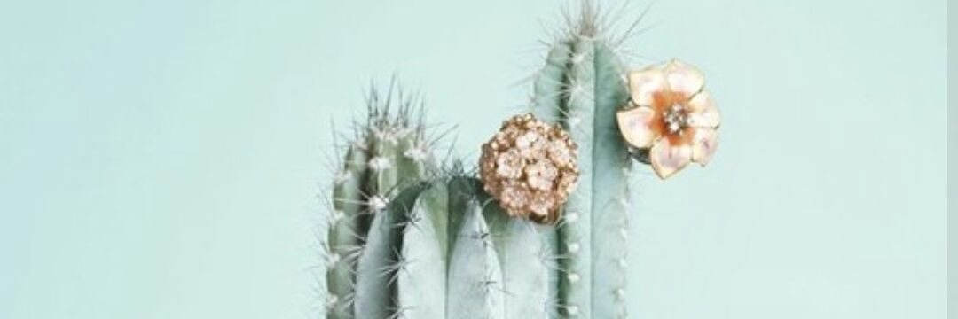 judithBPr's profile banner image