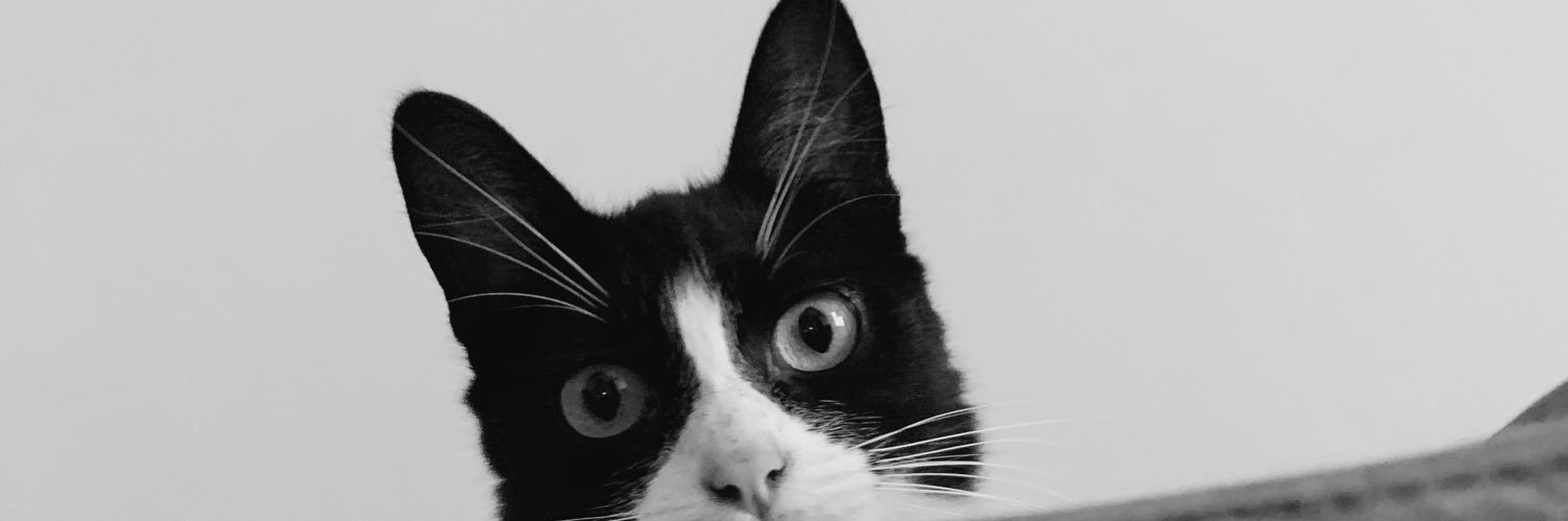 eldagza's profile banner image