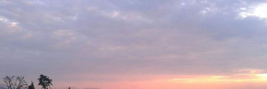 jorge gonzalez banner