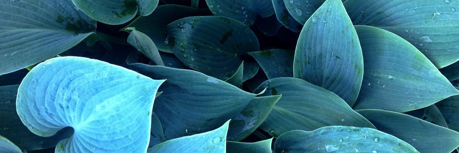 Connor_Goner's profile banner image