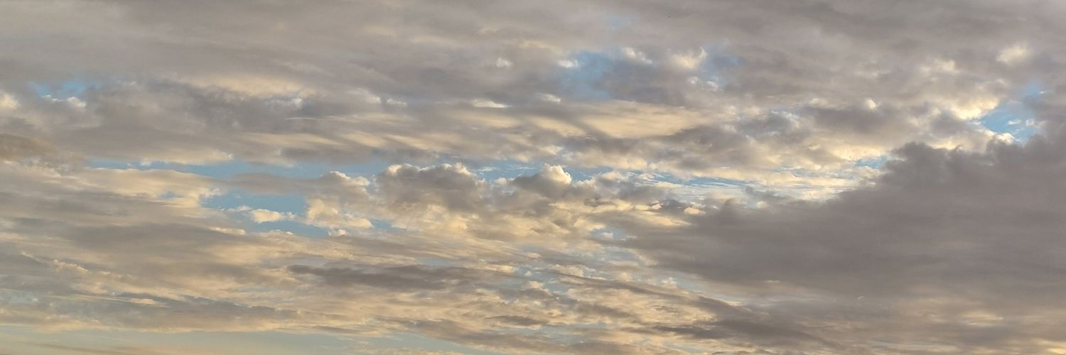 Catelijne de Groot banner