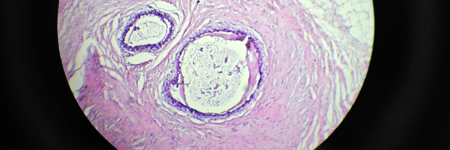 Chispazo21's profile banner image