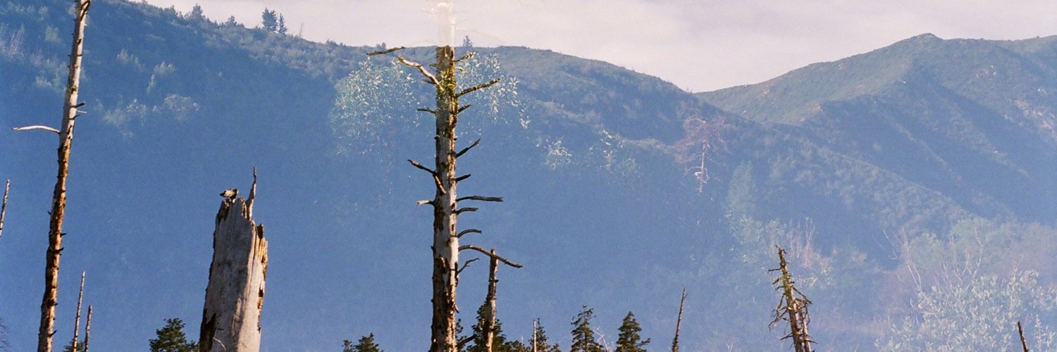 gnome_life's profile banner image
