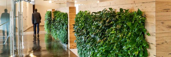 FernandNoble Profile Banner