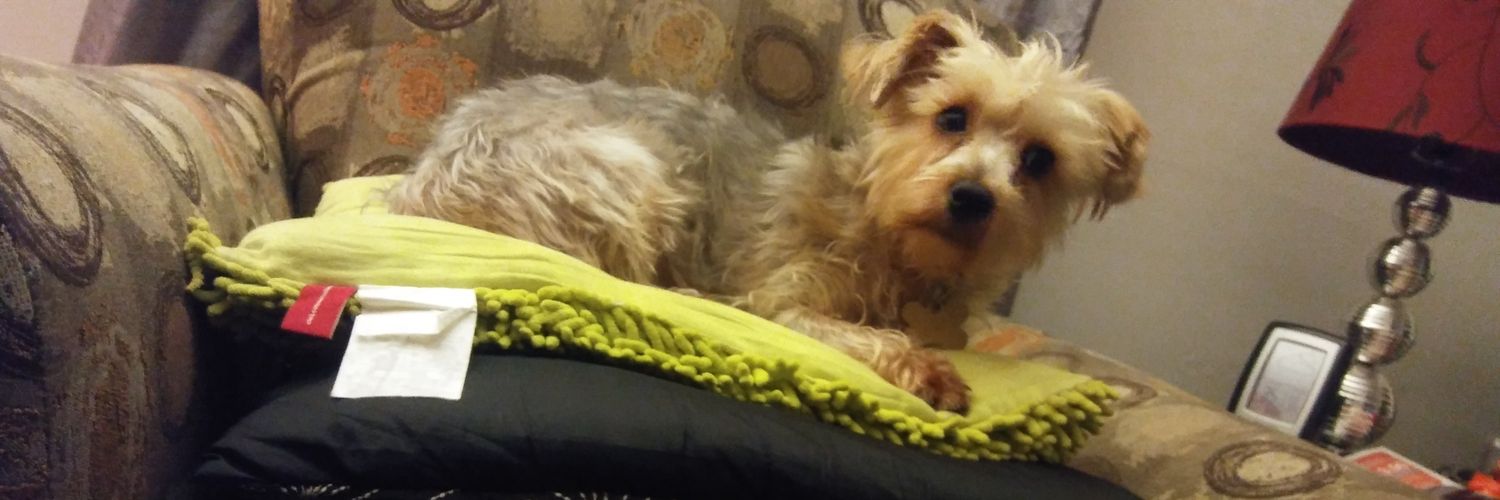 PeggysDaddy's profile banner image