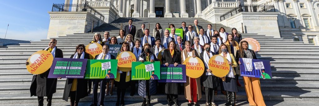 Reproductive Freedom Caucus's banner