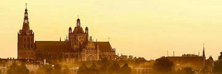 dholtman11's profile banner image
