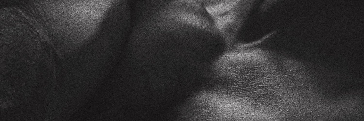 alecamher's profile banner image
