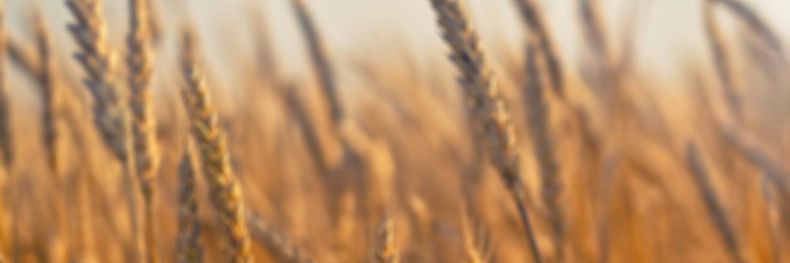RedFusionMedia's profile banner image