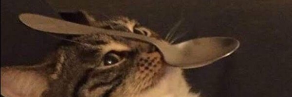 Creepy1nc Profile Banner