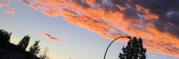 RoxyGan Profile Banner