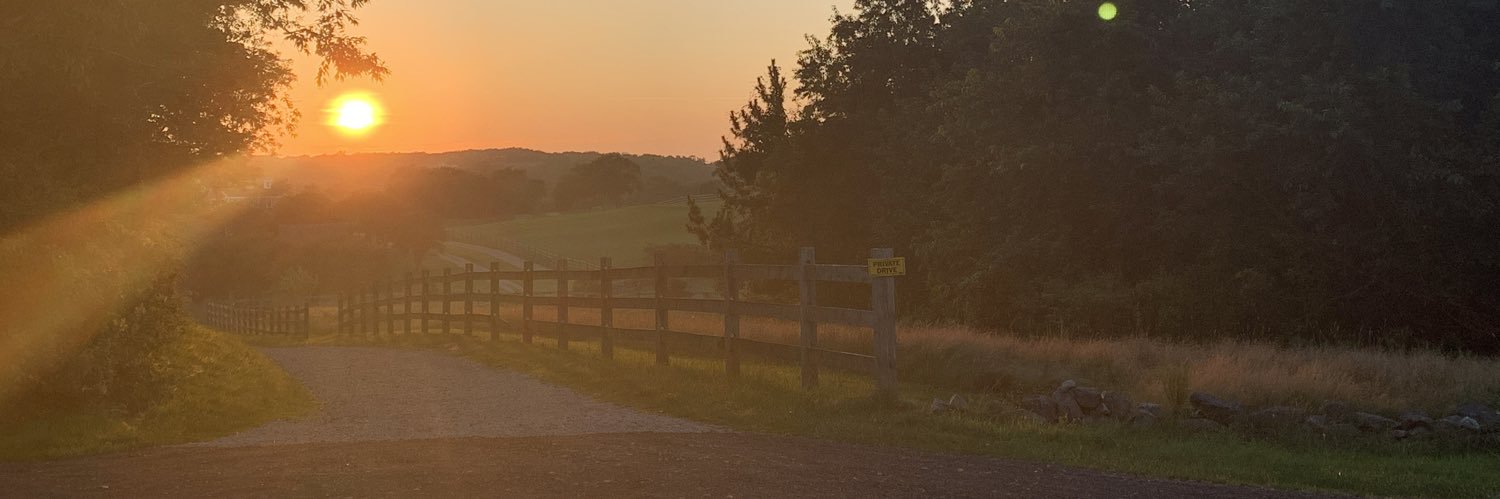 SerenaScanz's profile banner image