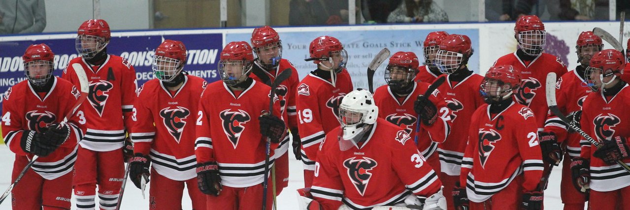 HCPuck banner