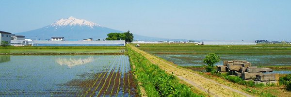 miosnatural Profile Banner