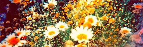 allotherthingss's profile banner image