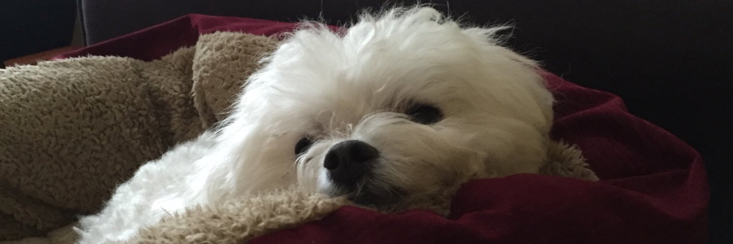 Goat2bkidding's profile banner image