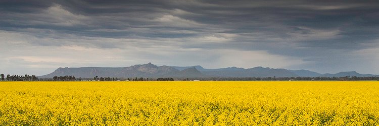 Wimmera PCP Inc. banner