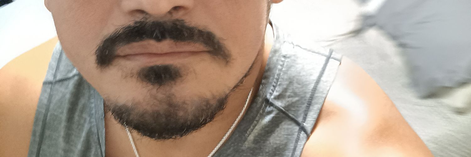 pedropupip's profile banner image