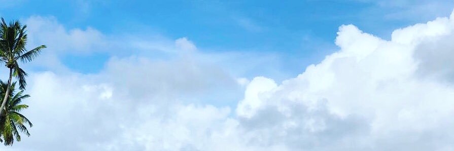 SarahLoy's profile banner image
