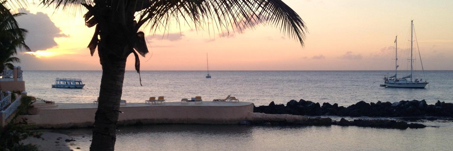 Fiona Simpson banner