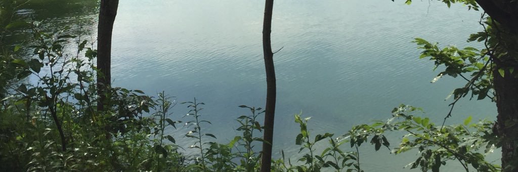 thepoolworship's profile banner image