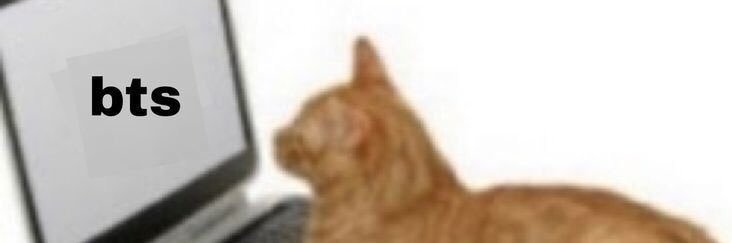 pjmppy's profile banner image