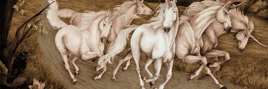 SheReadsMore's profile banner image