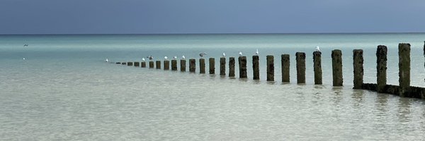 rkw01 Profile Banner
