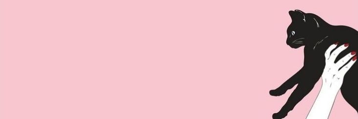 SolZeolla's profile banner image