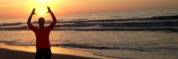 AshleeInSC Profile Banner