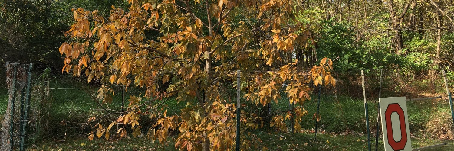 petesumner42's profile banner image