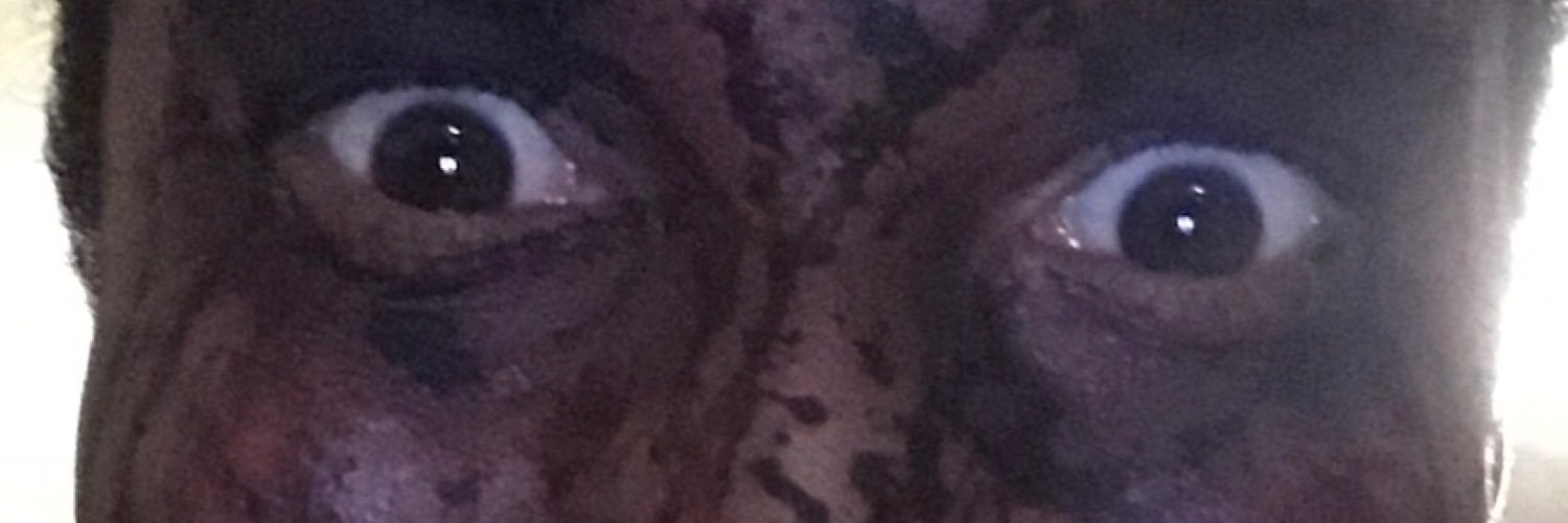 KidplaytheValet's profile banner image