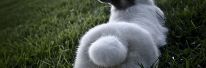 MisexiJared's profile banner image