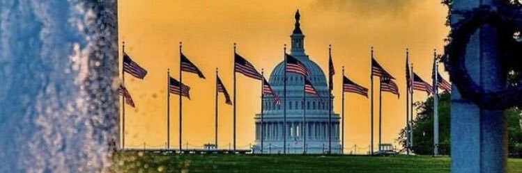 Inkydelaware's profile banner image