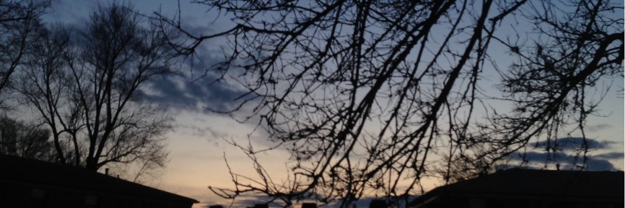 JackieAlvarezCh's profile banner image