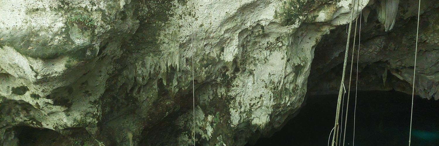 Sunny_Andy_'s profile banner image