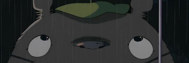 ylevads's profile banner image