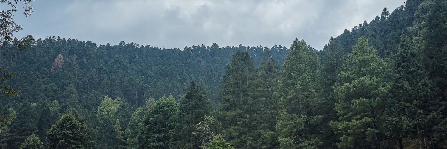JonazDVB's profile banner image