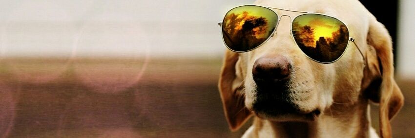 Just_For_Saying's profile banner image