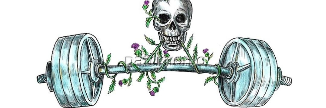 KellyRKip's profile banner image