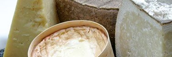 TheBlockCo_ Profile Banner