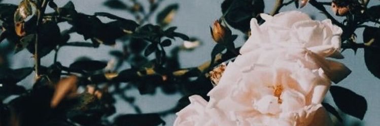 andreawo_w's profile banner image