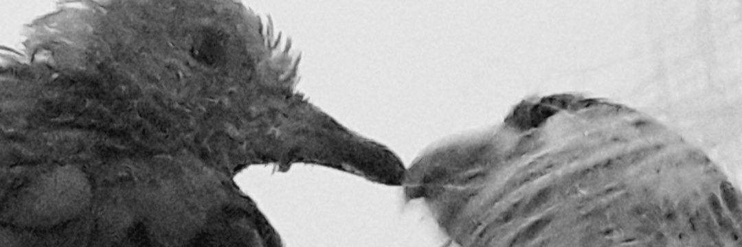 gaildetoit's profile banner image