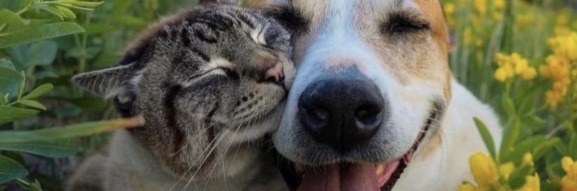 cnnGndzz's profile banner image