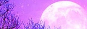 lyf05's profile banner image