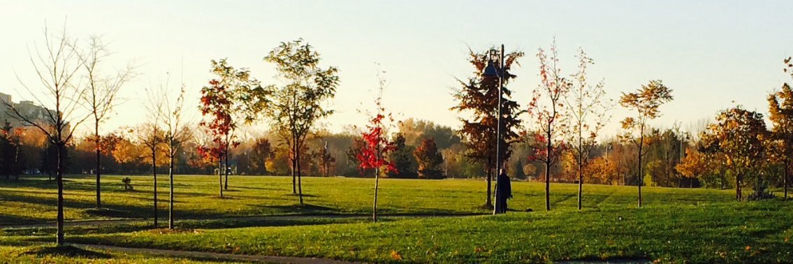 Griffin Murdoch banner